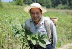 最近古蔺吃瓜新闻视频,揭秘当地热点事件背后的真相