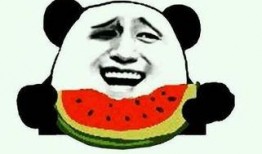 新视频吃瓜,揭秘娱乐圈最新热点事件