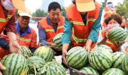 山东临沂吃瓜现场视频,全民围观，热闹非凡