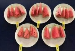吃瓜视频10块钱,揭秘网络短视频的低价魅力