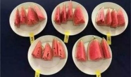 吃瓜视频10块钱,揭秘网络短视频的低价魅力