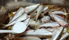 白条瓜怎么吃最好吃视频,视频教你轻松解锁最佳口感