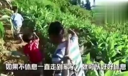 钦州京华吃瓜事件视频,一场引发热议的网络风波