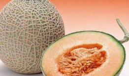 小朋友吃切好的哈密瓜视频,小朋友欢乐品尝切好哈密瓜瞬间