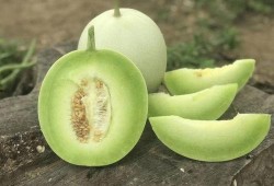 玉菇瓜怎么切方便吃视频