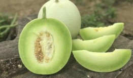 玉菇瓜怎么切方便吃视频