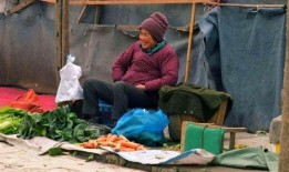 金昌市吃瓜老汉事件视频,一场引发社会热议的网络风波