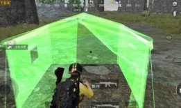 吃瓜帐篷事件视频播放,揭秘网络热议背后的真相