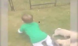 盘点那些吃瓜搞笑场景视频,那些让人捧腹大笑的吃瓜搞笑场景瞬间