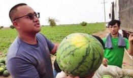 各类吃瓜事件图片高清视频,高清图视频深度解析