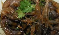 白条瓜怎么吃最好吃视频,视频教你轻松解锁最佳口感