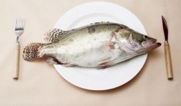 吃生八瓜鱼视频大全集