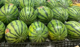 新视频吃瓜,揭秘娱乐圈最新热点事件