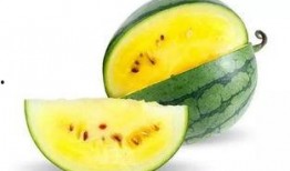 今日必看的吃瓜视频