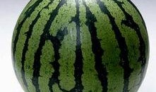 关于吃瓜的例子素材视频,吃瓜群众视角下的社会现象解析