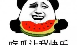 快乐的吃瓜群众歌曲视频,欢快旋律下的社会百态缩影