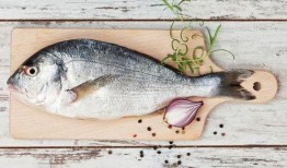 吃生八瓜鱼视频大全集