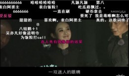 吃瓜群众骂人视频,骂人视频引发的争议与反思