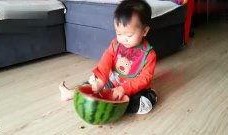 乐哥吃瓜大队视频