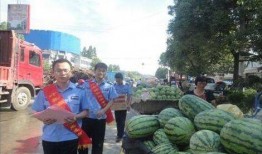 徽县吃瓜事件真相视频完整版,揭秘真相背后的惊人内幕