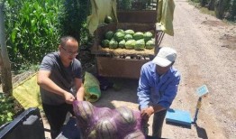 金昌市吃瓜老汉事件视频,一场引发社会热议的网络风波