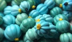 珠珠吃瓜视频,揭秘娱乐圈幕后故事