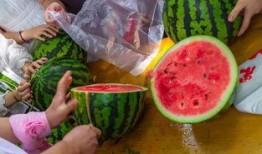 潮州彩塘吃瓜视频,一场别开生面的吃瓜盛宴