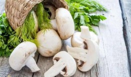 每日吃瓜今日大瓜蘑菇视频,蘑菇视频今日大瓜，揭秘娱乐圈幕后真相