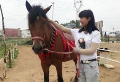 骑马吃瓜视频大全,盘点热门骑马吃瓜视频大全