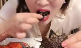 女生可以吃籽瓜吗视频